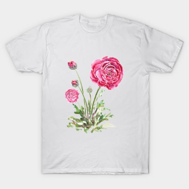 red Ranunculus watercolor T-Shirt by colorandcolor